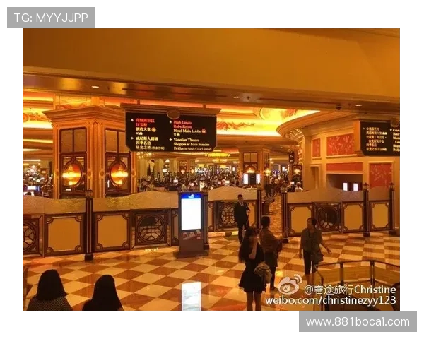 探秘新濠天地赌场：娱乐、餐饮与购物的综合乐园